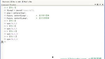 爱好者爆料视频网页版,网页版视频背后的精彩故事