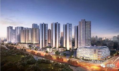 观澜新闻爆料最新